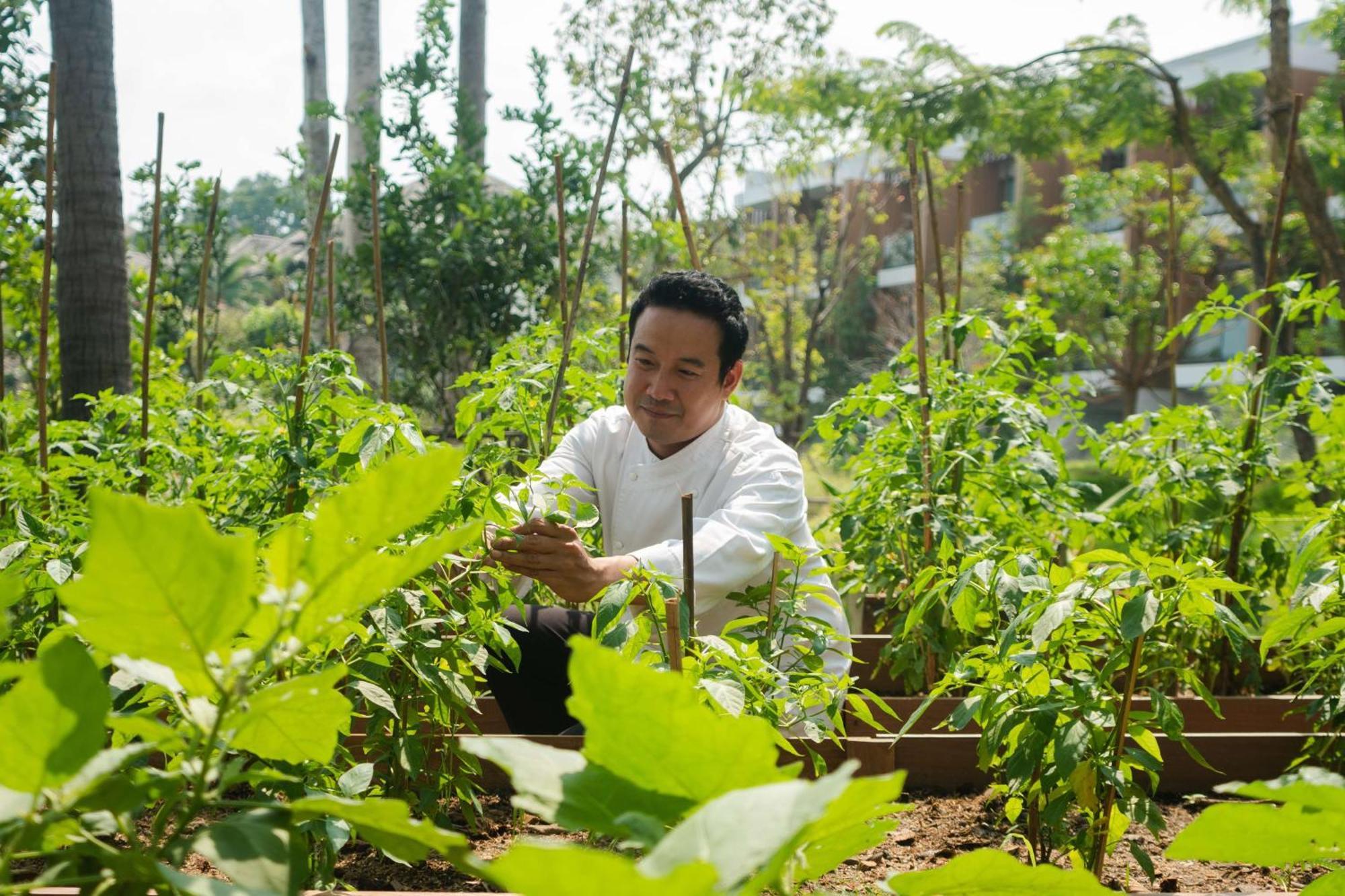 Hyatt Regency Koh Samui Praia de Chaweng Exterior foto Chef Hung at the farm